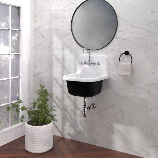 22" Alexane Enameled Cast Iron Wall Mount Bathroom Sink