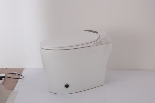 Moreno Bath 6292 Toilet with Bidet
