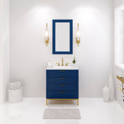 BR30CW vanity Monarch Blue