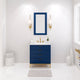 BR30CW vanity Monarch Blue
