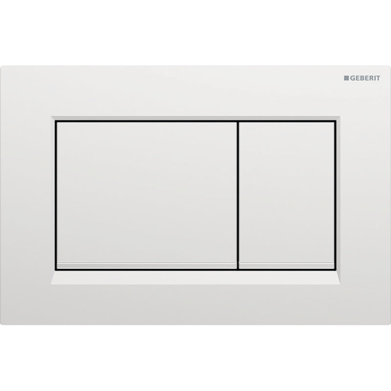 Geberit Sigma30 Dual Flush Actuator Plate - Matte Chrome with Bright Chrome Stripes