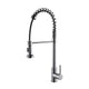 Lexora Lanuvio Brass Single-Handle Pull-Down Spray Kitchen Faucet in Chrome