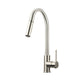 Lexora Olivi Brass Single-Handle Pull-Down Spray Kitchen Faucet in Brushed Nickel