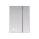 Savera 24 in. Medicine Cabinet