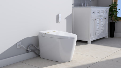 Moreno Bath A17 Elongated Toilet with Bidet