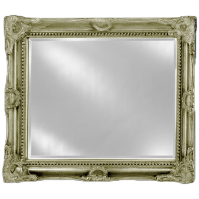 Afina EC17-4234 Estate Royale 42" W x 34" H Framed Bevel Wall Mirror - view 2