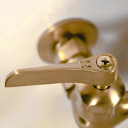 Nantucket Sinks CIF-2HSB Wall Mount Faucet with Soap Dish - view 3