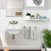 Nantucket Sinks 16.5-inch Fireclay Wallmount Bath Sink with Satin Brushed Brass Accessories Set NS-VC16-WW-SBFCT - view 6