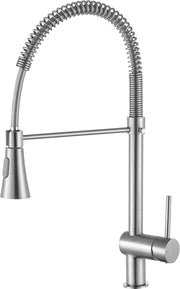 Anzzi Carriage Single Handle Standard Kitchen Faucet, Brushed Nickel