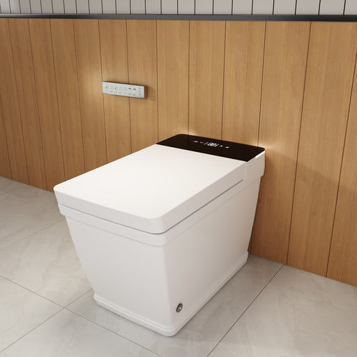 Moreno Bath T5 Toilet with Bidet