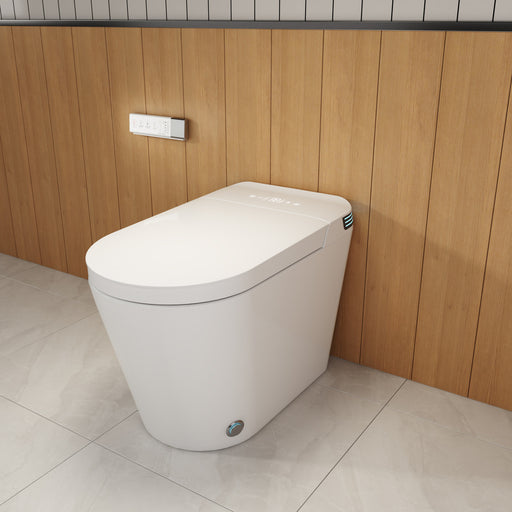 Moreno Bath T68 Toilet with Bidet