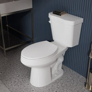 Anzzi Garden 12 in. Two-Piece 1.28 GPF Siphon Elongated Toilet with Soft Close Seat