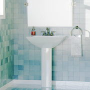 Tepster Vitreous China Pedestal Sink
