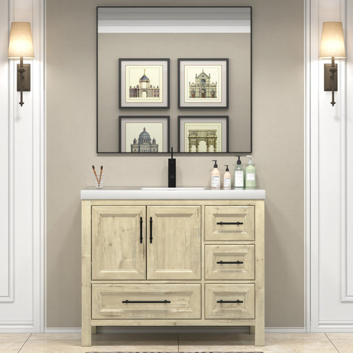 VIV 42R Oak 1